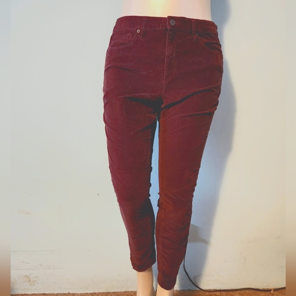 Brushed velvet style pants - Picture 1 of 5